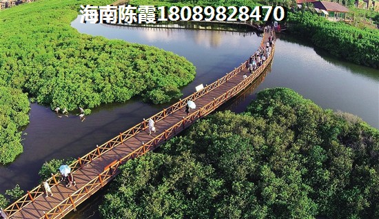 海棠101真的有這么好嗎（海棠101升值潛力及房價(jià)分析）