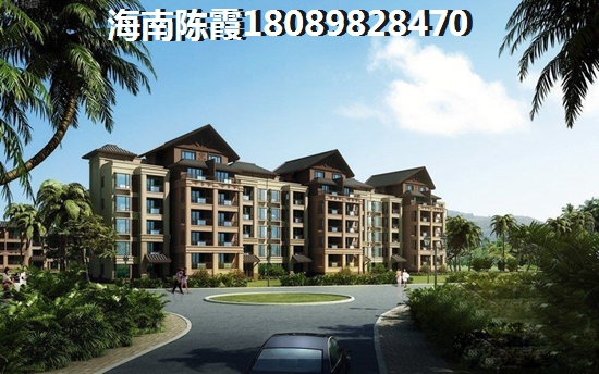 在東郊椰林壹號(hào)投資房產(chǎn)前景如何，2025東郊椰林壹號(hào)房價(jià)最新消息！